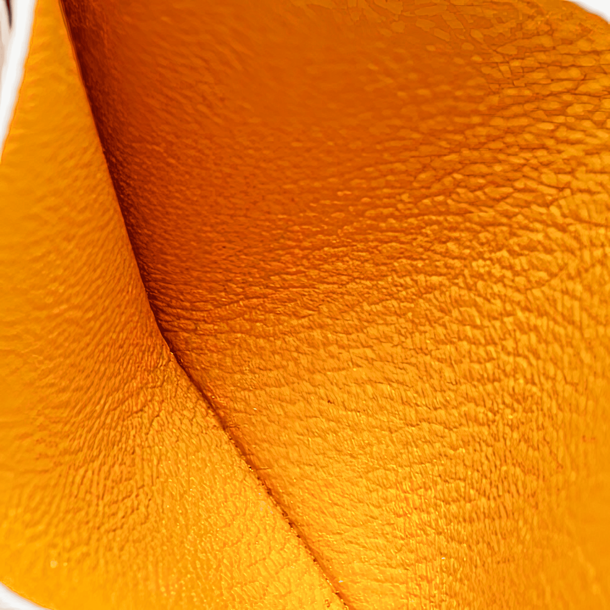 Goyard サンシュルピス カード ウォレット