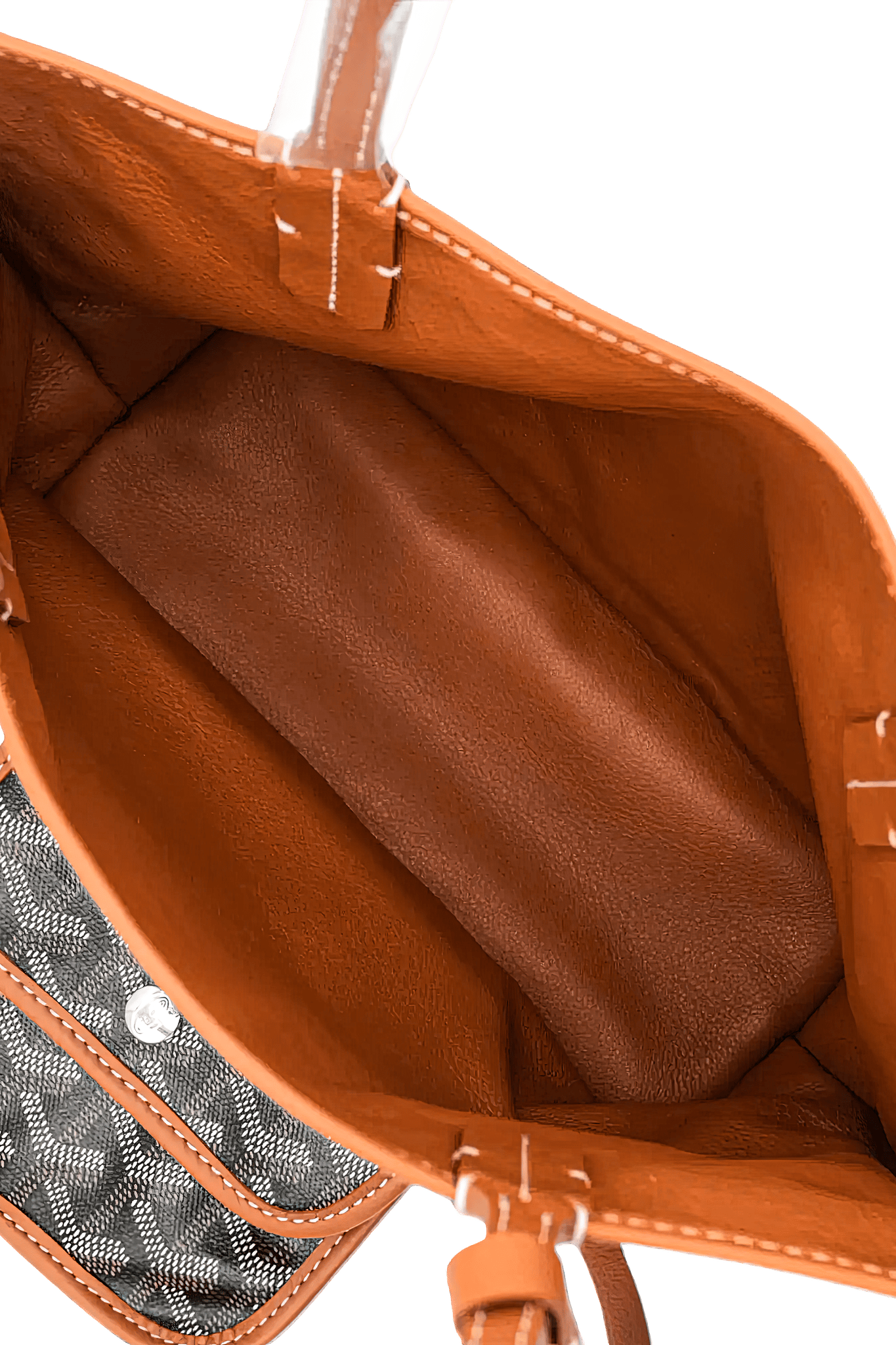 Goyard Anjou Mini bag