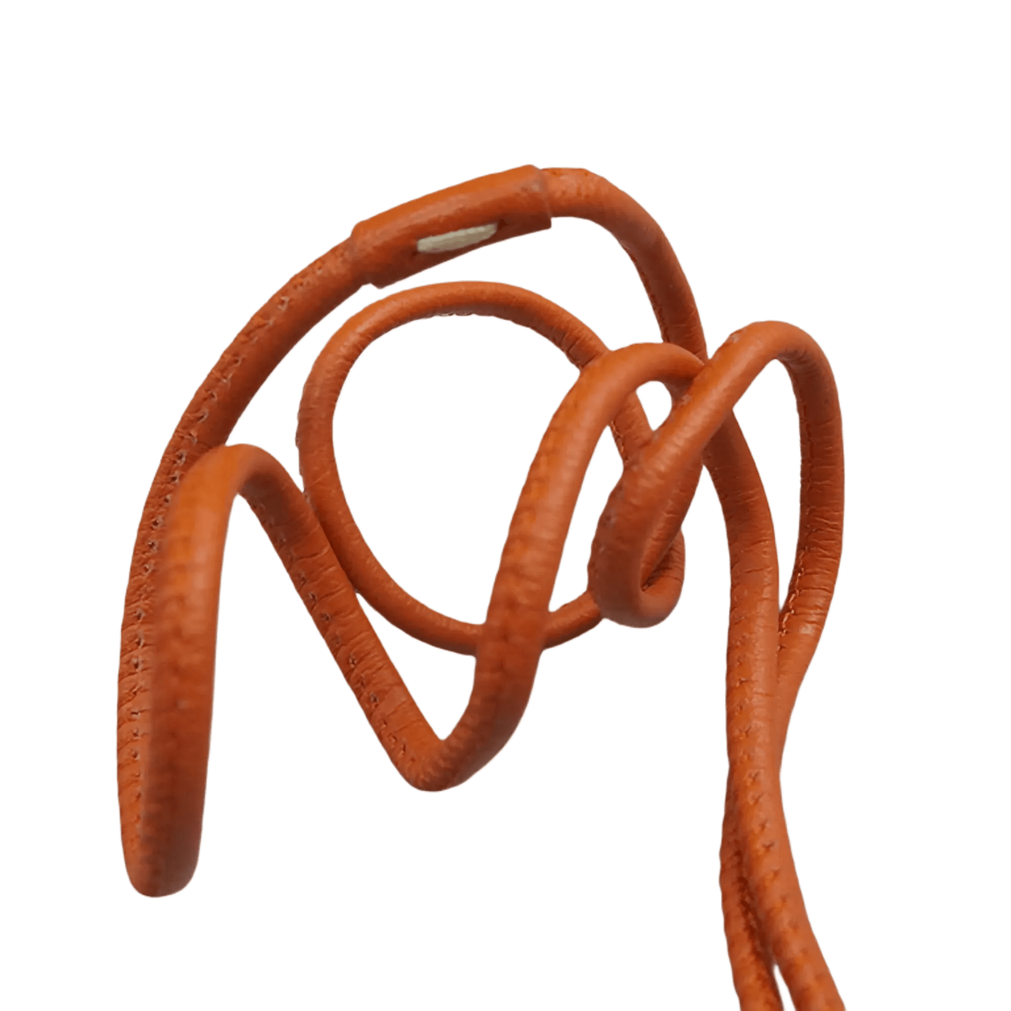 Goyard Croc Universel