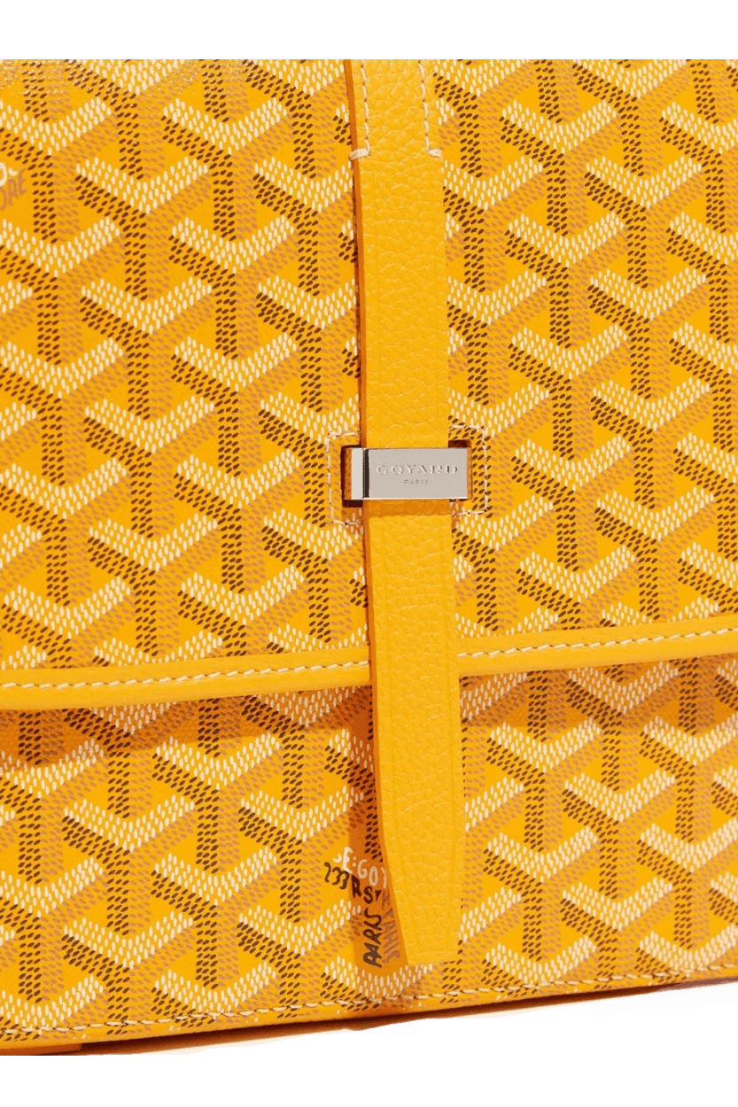 Goyard Belvédère PM bag