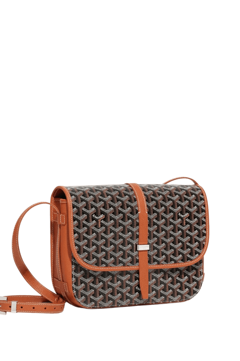 Goyard Belvédère PM bag