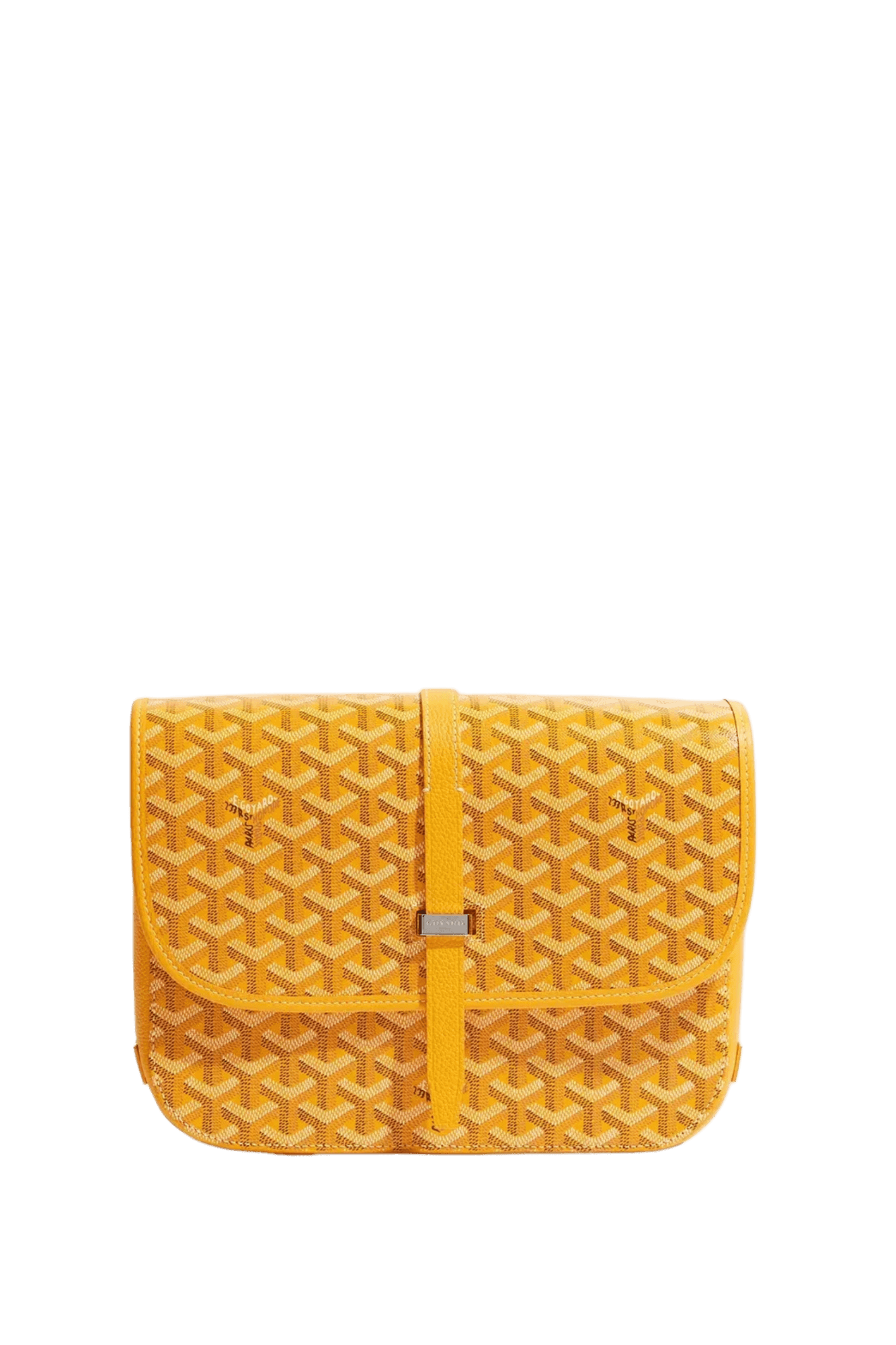 Goyard Belvédère PM bag