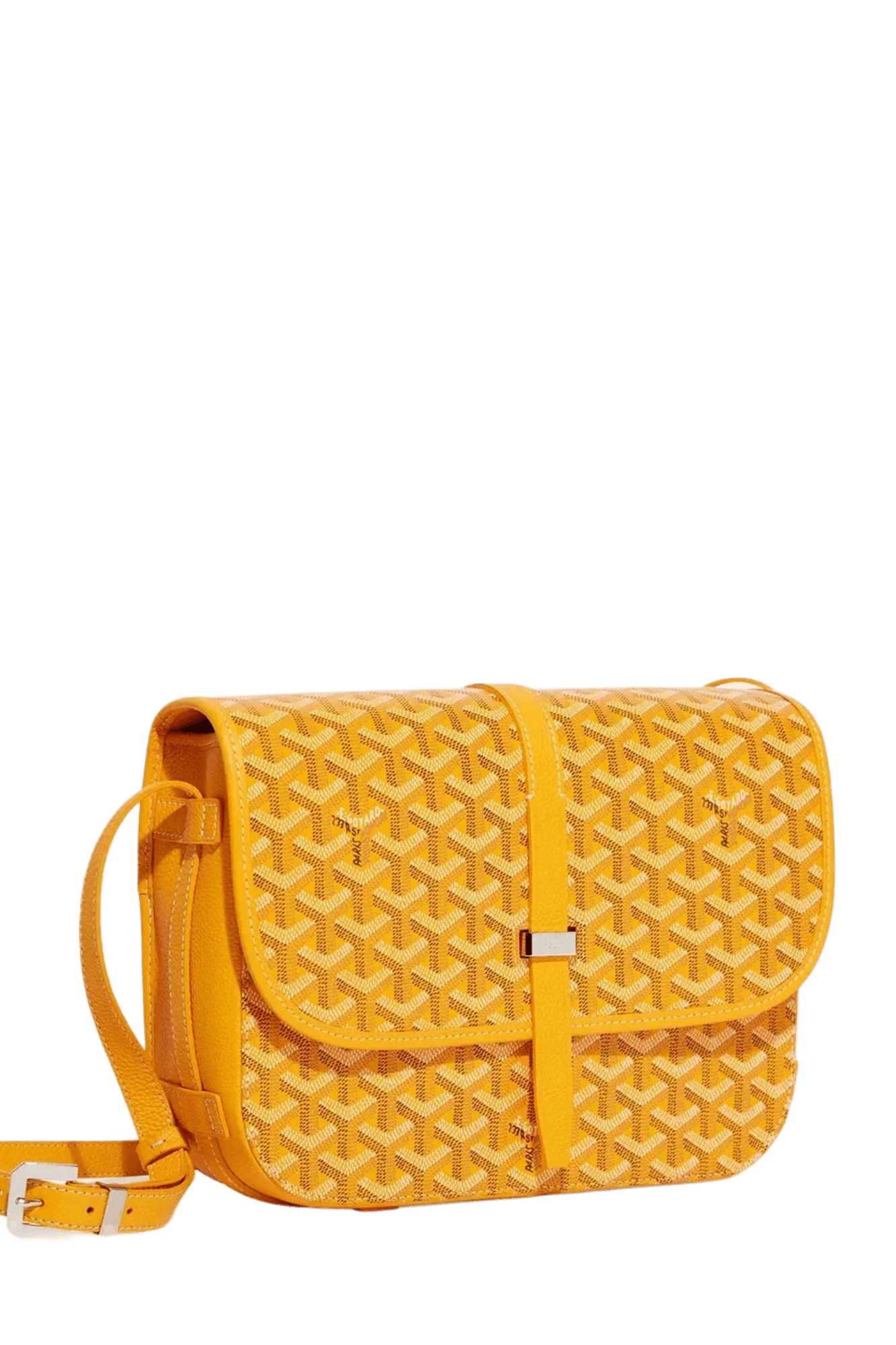 Goyard Belvédère MM bag