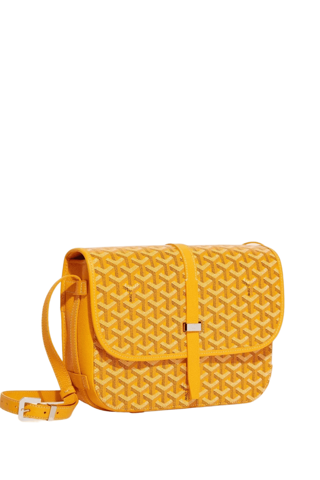 Goyard Belvédère PM bag