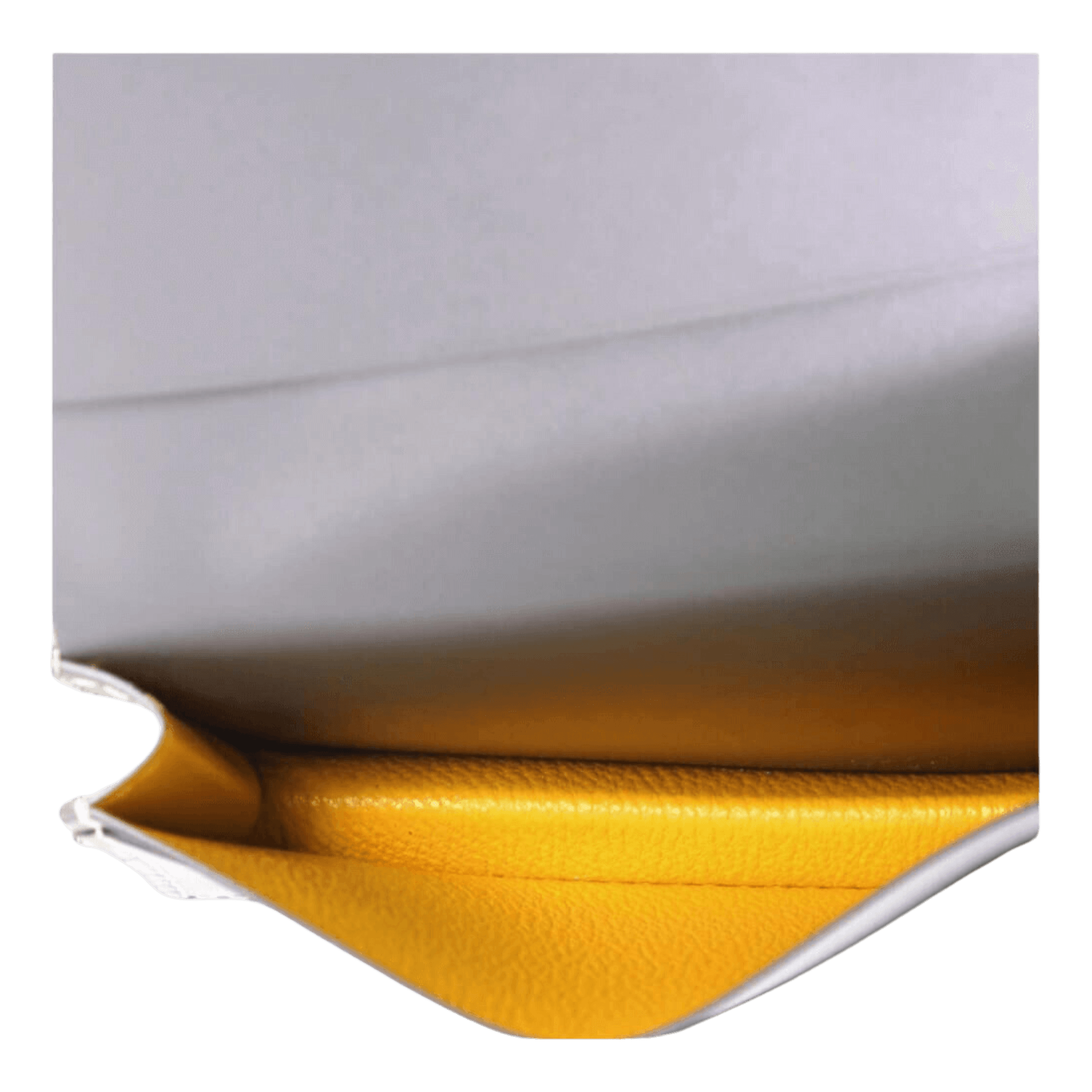 Tarjetero Goyard Malesherbes