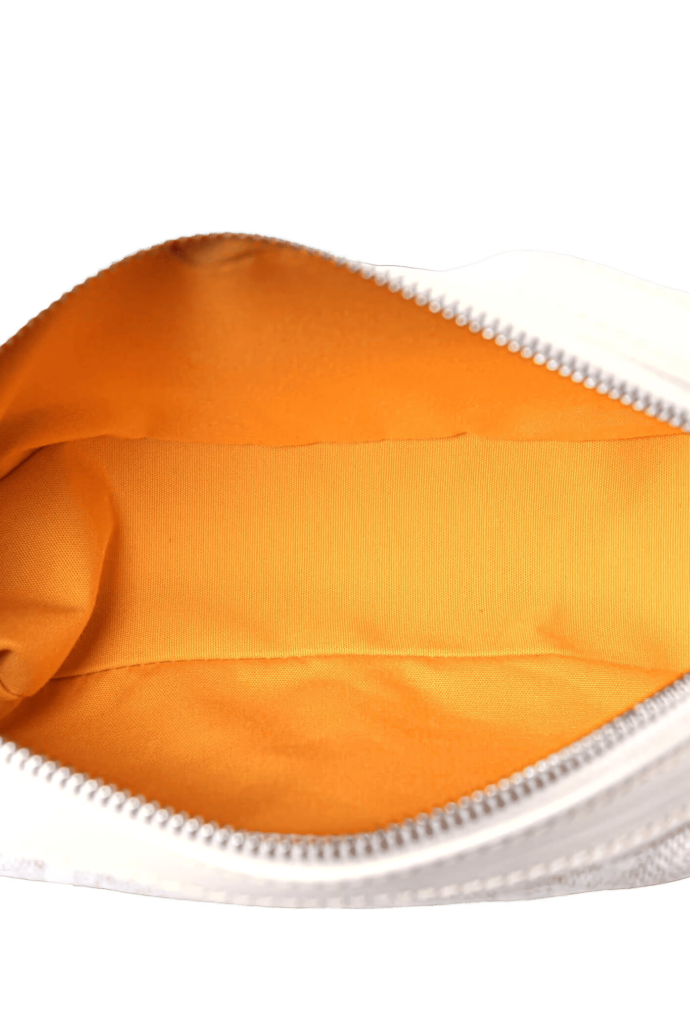 Goyard Cap-Vert 小號包